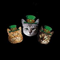 Drink Up Pussies Funny Cat Drinking St Patricks Day 16oz Travel Tumbler