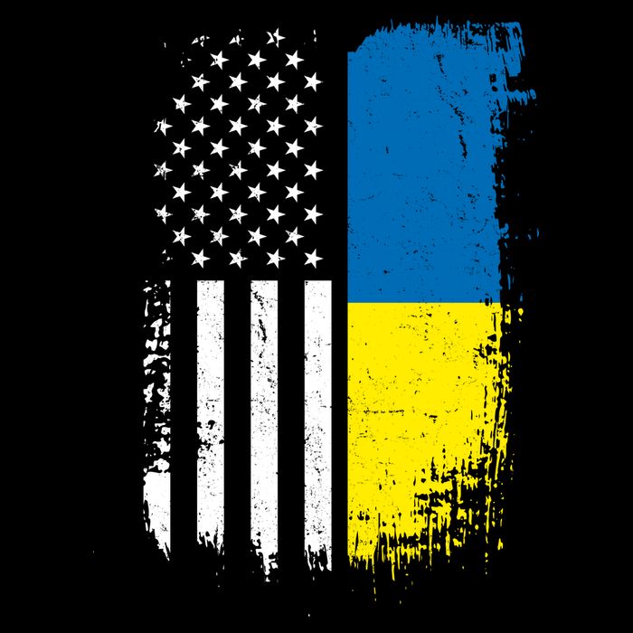 Distressed USA Ukraine Flag Stand With Ukraine Bucket Hat