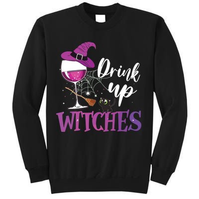 Drink Up Witches Wine Lover Drinking Halloween Costume Sweatshirt