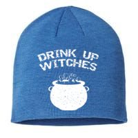 Distressed Up Witches Gift Sustainable Beanie