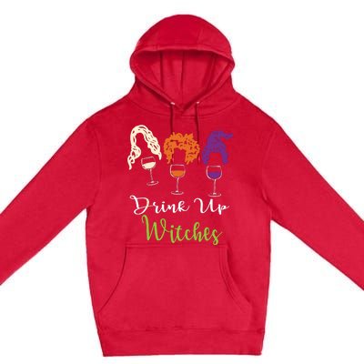 Drink Up Witches Halloween Women Hallowine Wine Lover Premium Pullover Hoodie