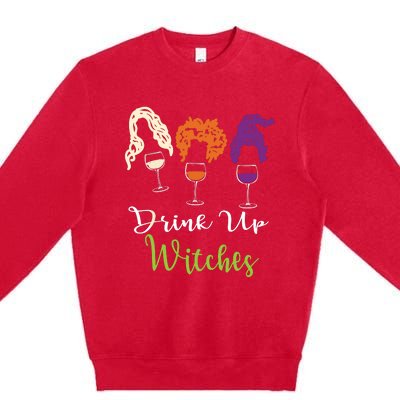 Drink Up Witches Halloween Women Hallowine Wine Lover Premium Crewneck Sweatshirt