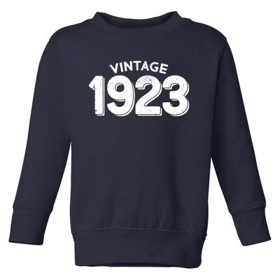 Distressed Vintage 1923 100th Birthday Toddler Sweatshirt