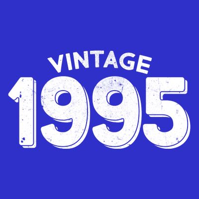 Distressed Vintage 1995 30th Birthday T-Shirt
