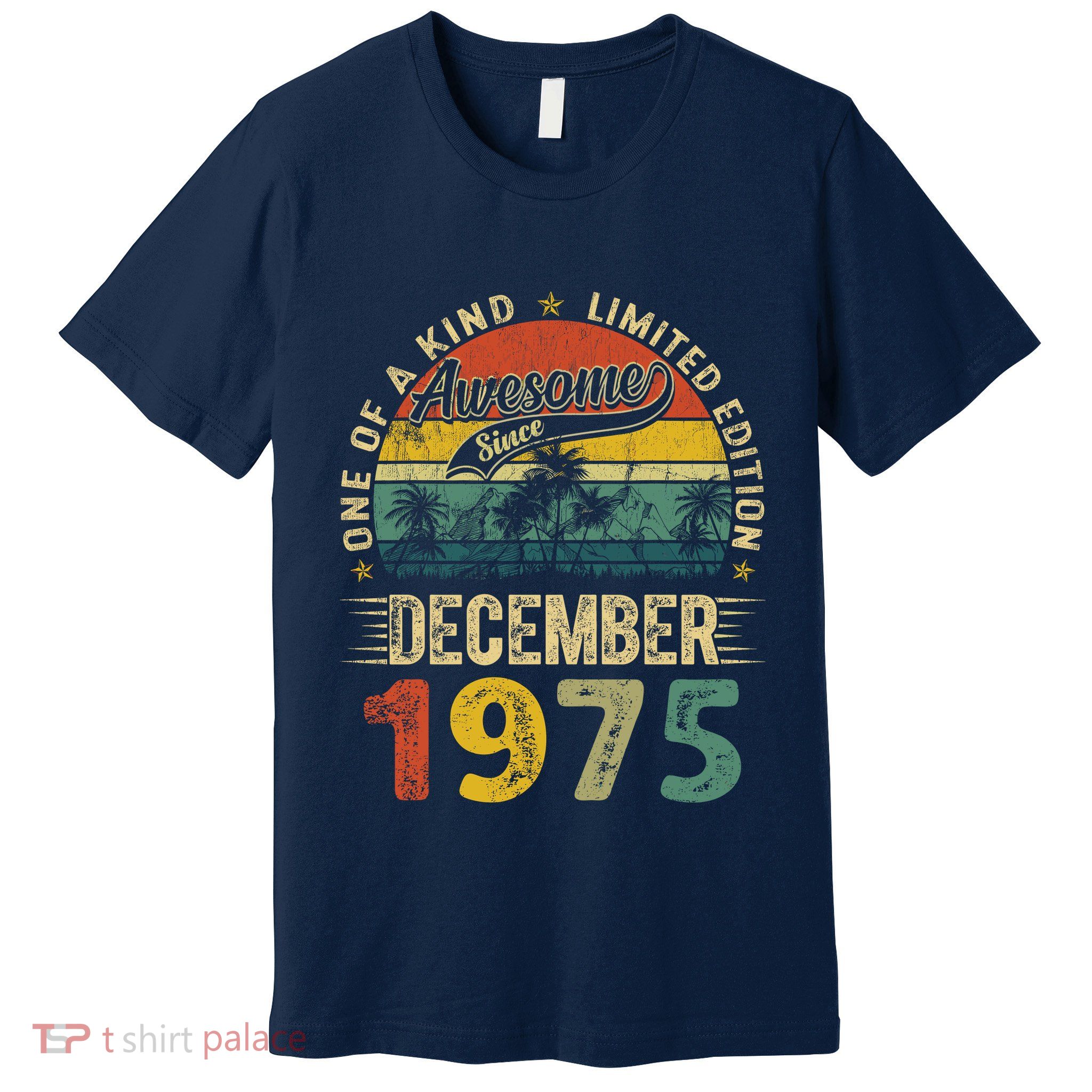 Distressed Vintage 1975 December Limited Edition 49th Bday Premium T-Shirt