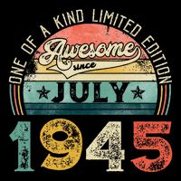 Distressed Vintage Awesome Since July 1945 78th Birthday Hoodie