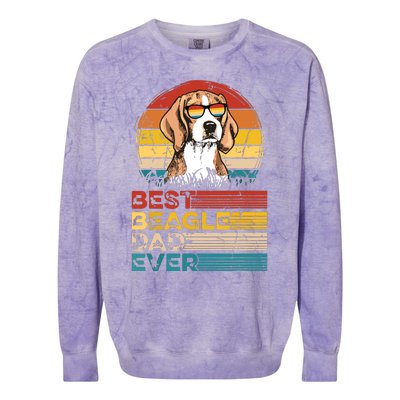 Dog Vintage Best Beagle Dad Ever Fathers Day Puppy Dog Dad Colorblast Crewneck Sweatshirt