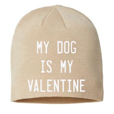 Dogs Valentines Day Gift My Dog Is My Valentine Sustainable Beanie