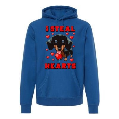 Dachshund Valentines Day Cool Gift Dog Gift Meaningful Gift Premium Hoodie