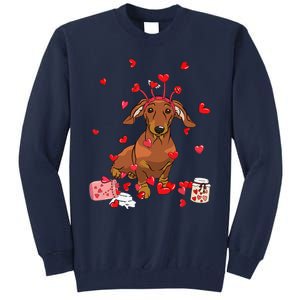 Dog Valentine Gift Cute Dachshund Valentines Day Tall Sweatshirt