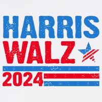 Distressed Vote Kamala Harris Tim Walz 2024 Election Beanie