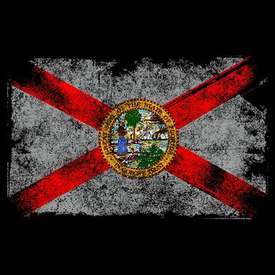 Distressed Vintage Retro Usa Patriotic Fl State Florida Flag T-Shirt