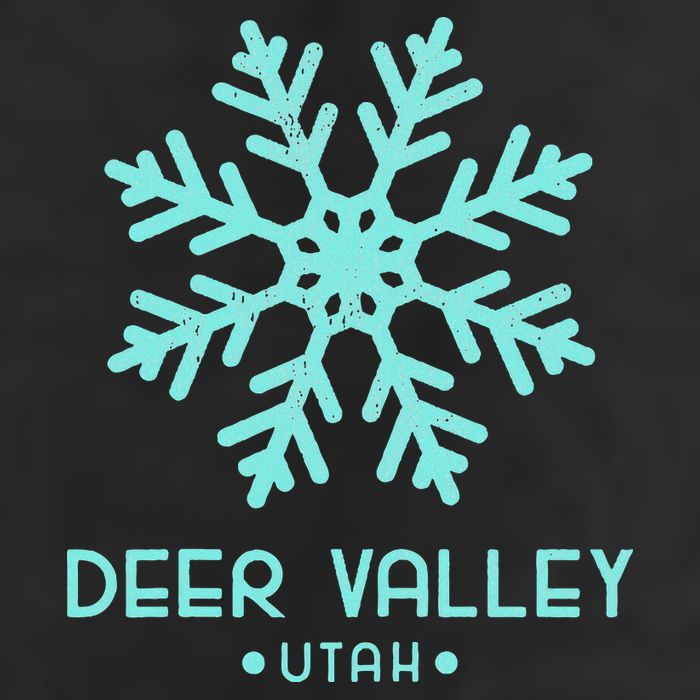 Deer Valley Utah Skiing 11oz C Handle Ceramic Mug