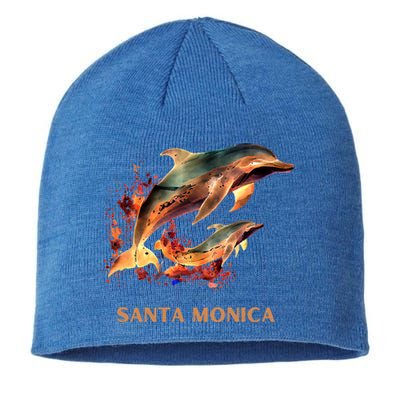 Dolphin Vacation Vintage Santa Monica Beach Destination Funny Gift Sustainable Beanie