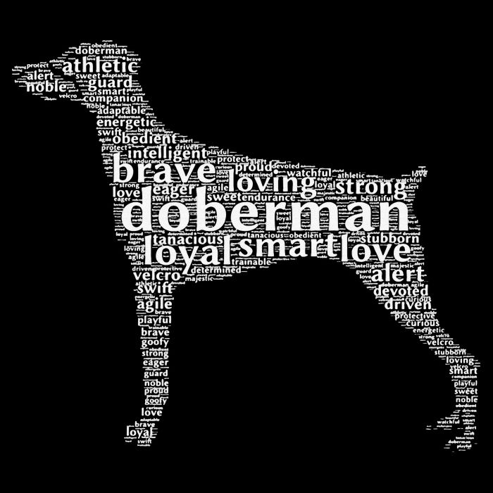 Doberman with a Docked Tail & Floppy Ears Word Cloud 16 in Basic Backpack