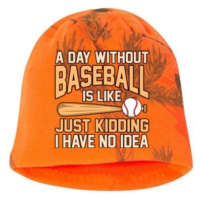 Day Without Baseball Sports Player Lover Coach Graphic Gift Kati - Camo Knit Beanie