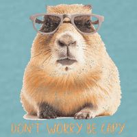 Dont Worry Be Capy Capybara Sueded Cloud Jersey T-Shirt