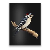 Downy Woodpecker Bird Lover Illustration Poster