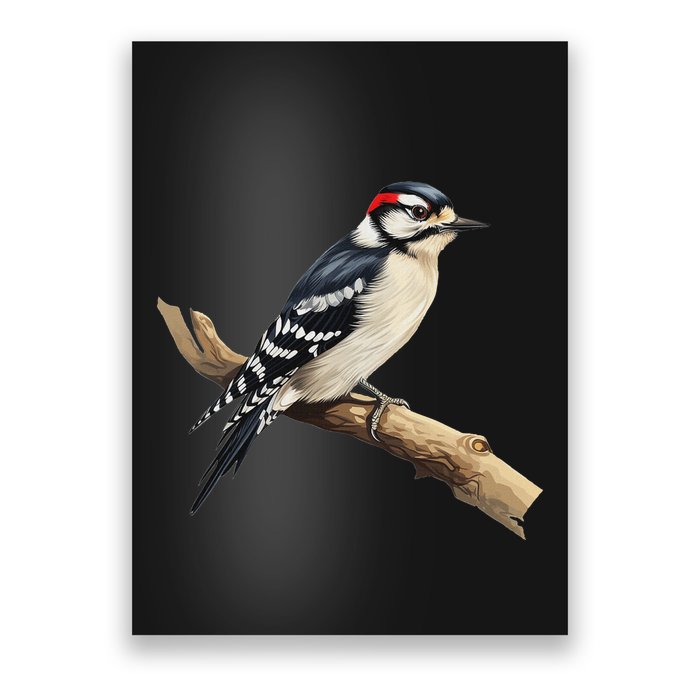 Downy Woodpecker Bird Lover Illustration Poster