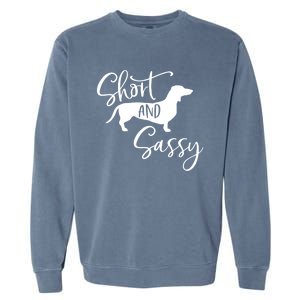 Dachshund Wiener Dog Great Gift Garment-Dyed Sweatshirt