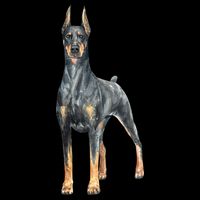 Doberman Watercolor Dog Backpack