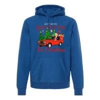 DonT Worry DaddyS Coming Home For Christmas Trump 2024 Premium Hoodie