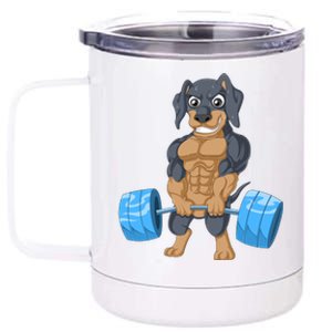 Dachshund Weightlifting 12 oz Stainless Steel Tumbler Cup