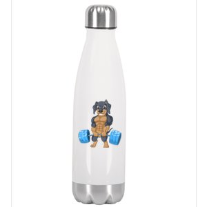 Dachshund Weightlifting Stainless Steel Insulated Water Bottle