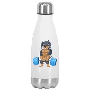 Dachshund Weightlifting Stainless Steel Insulated Water Bottle