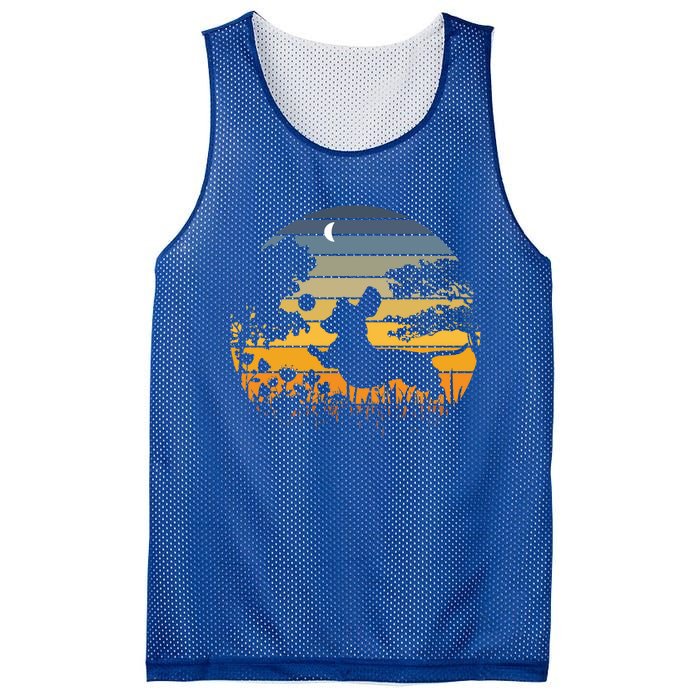 Dachshund Wiener Dog Sunset Garden Nature Lover Gift Mesh Reversible Basketball Jersey Tank