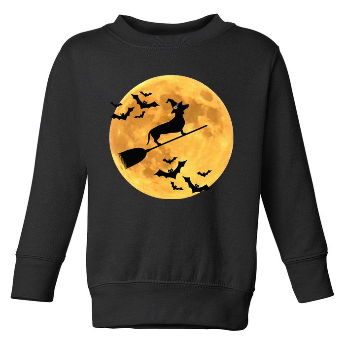 Dachshund Witch Dog Halloween Moon Broomstick Broom Toddler Sweatshirt