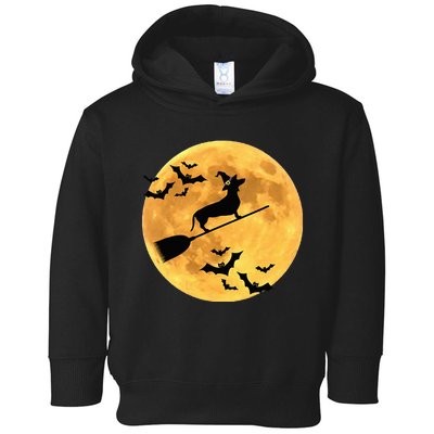 Dachshund Witch Dog Halloween Moon Broomstick Broom Toddler Hoodie