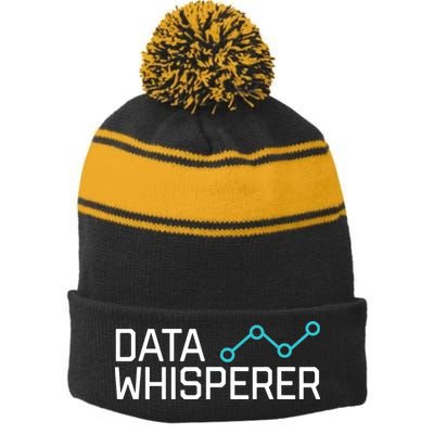Data Whisperer Funny Science Analyst Software Engineer Stripe Pom Pom Beanie