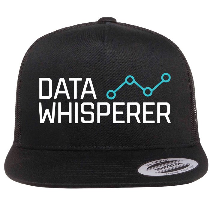 Data Whisperer Funny Science Analyst Software Engineer Flatbill Hat