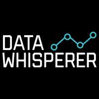 Data Whisperer Funny Science Analyst Software Engineer Flatbill Hat