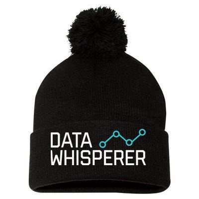 Data Whisperer Funny Science Analyst Software Engineer Pom Pom 12in Knit Beanie