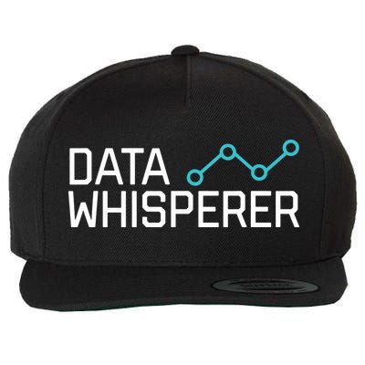 Data Whisperer Funny Science Analyst Software Engineer Wool Snapback Cap