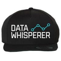 Data Whisperer Funny Science Analyst Software Engineer Wool Snapback Cap