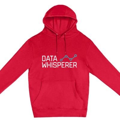 Data Whisperer Funny Science Analyst Software Engineer Premium Pullover Hoodie