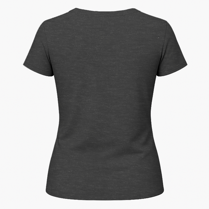 Data Whisperer Funny Science Analyst Software Engineer Womens T-Shirt