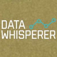 Data Whisperer Funny Science Analyst Software Engineer Garment-Dyed Women's Muscle Tee