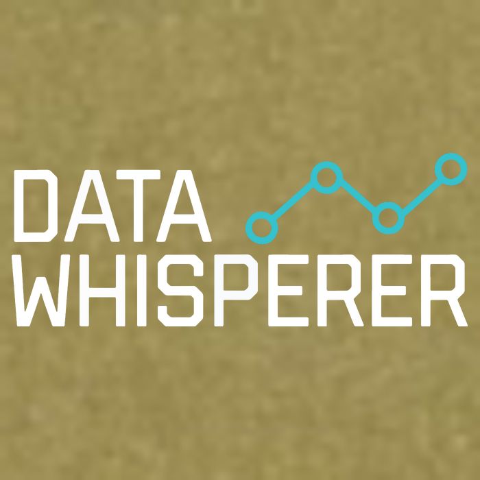 Data Whisperer Funny Science Analyst Software Engineer Garment-Dyed Women's Muscle Tee