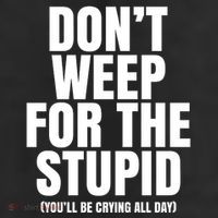 DonT Weep For The Stupid YouLl Be Crying All Day Alexander Anderson Beanie
