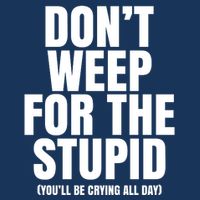 DonT Weep For The Stupid YouLl Be Crying All Day Alexander Anderson Infant Baby Jersey Bodysuit