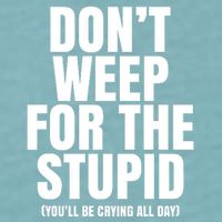DonT Weep For The Stupid YouLl Be Crying All Day Alexander Anderson Sueded Cloud Jersey T-Shirt