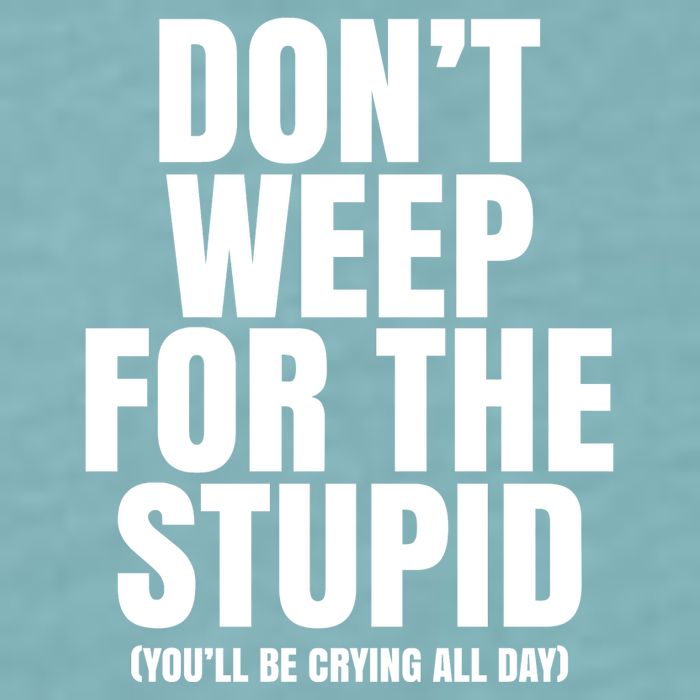 DonT Weep For The Stupid YouLl Be Crying All Day Alexander Anderson Sueded Cloud Jersey T-Shirt
