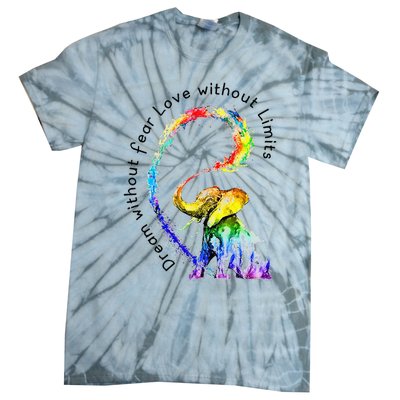 Dream Without Fear Love Without Limits Elephant LGBT Tie-Dye T-Shirt