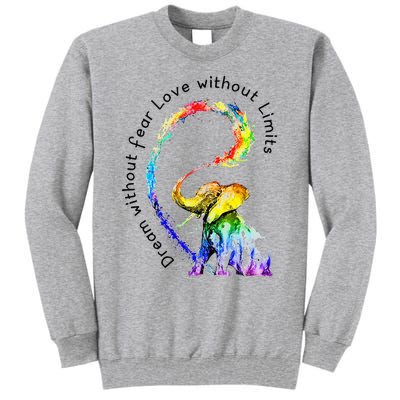 Dream Without Fear Love Without Limits Elephant LGBT Tall Sweatshirt