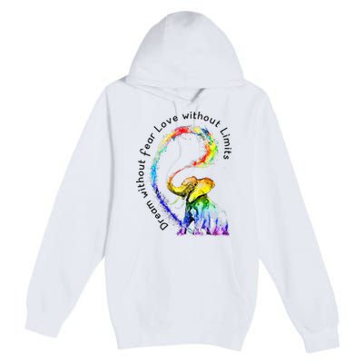 Dream Without Fear Love Without Limits Elephant LGBT Premium Pullover Hoodie