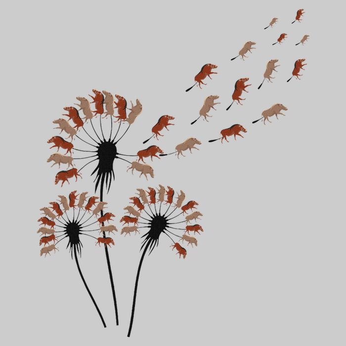 Dandelion Warthogs For Warthog Lover Warthog Tie-Dye T-Shirt